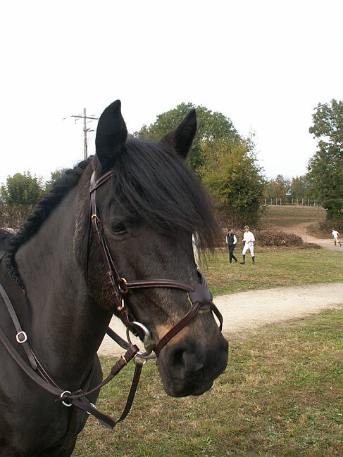 PICT0164.JPG