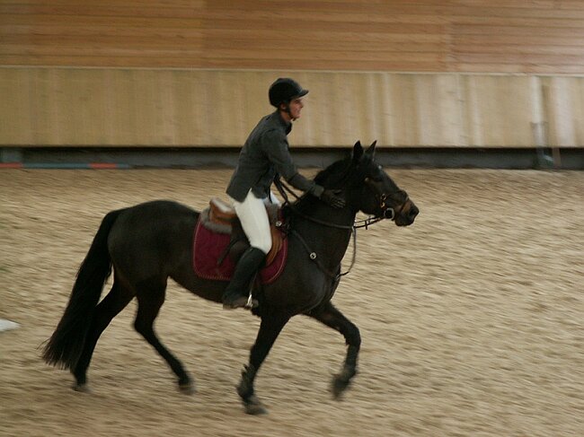 PICT0220.JPG