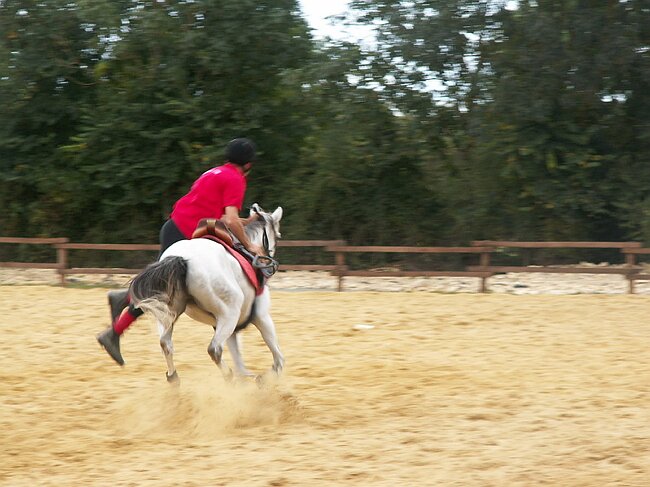 PICT0044.JPG