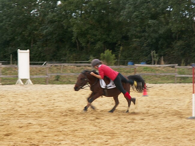 PICT0049.JPG