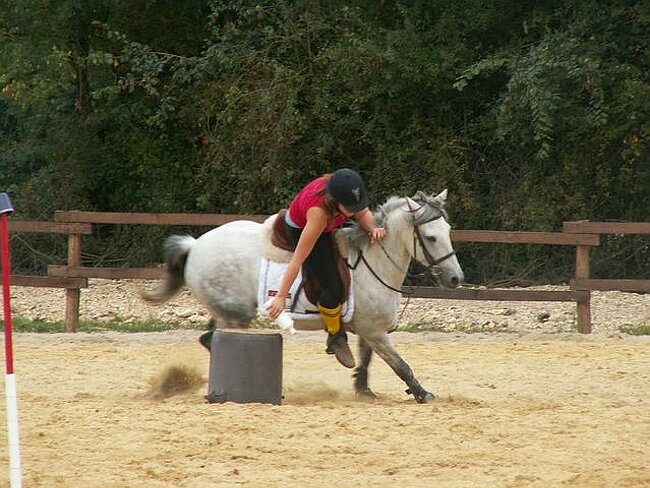 PICT0074 [640x480].JPG