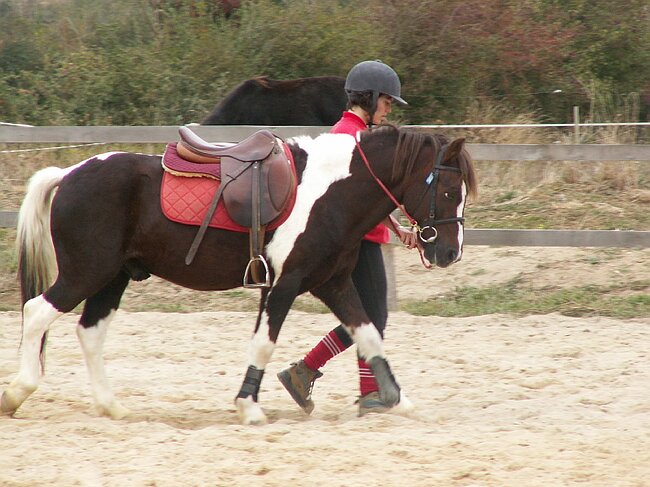 PICT0151.JPG