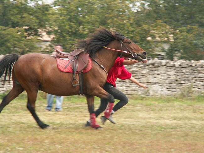 PICT0025.JPG