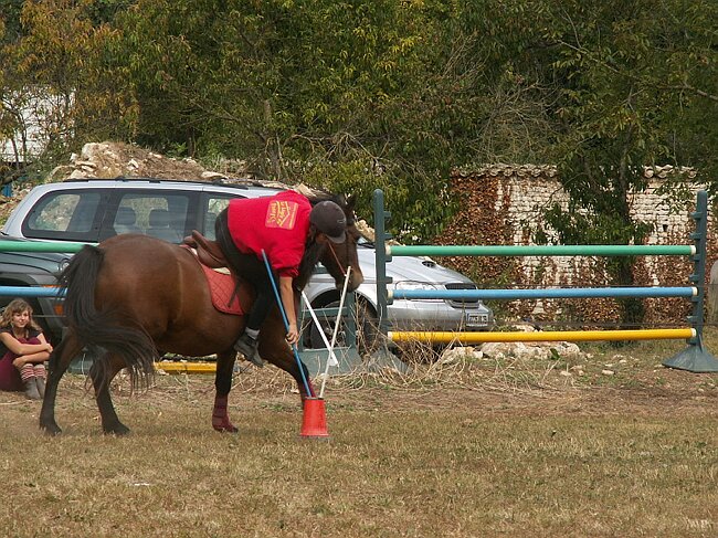 PICT0031.JPG