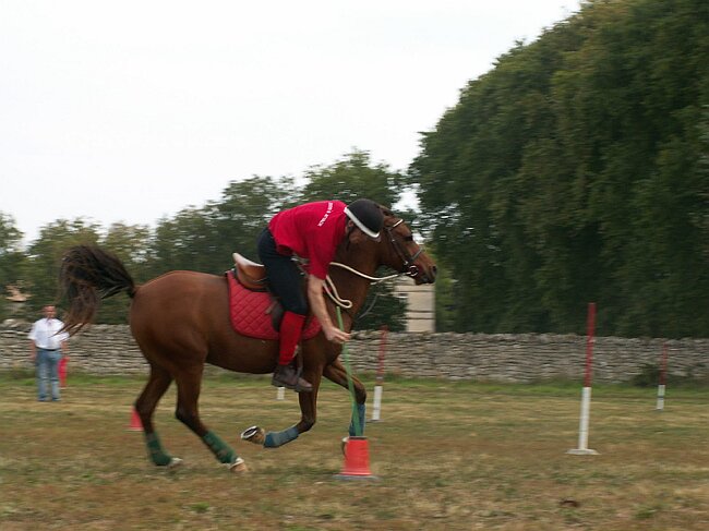 PICT0036.JPG