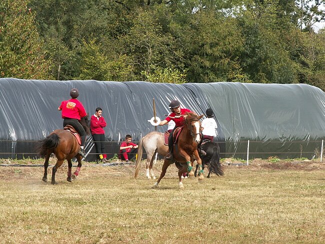 PICT0061.JPG